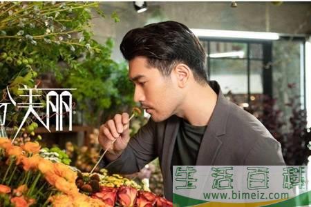 怪你过分美丽金牌经纪人秦岚邂逅高以翔，林湘女星原型曝光