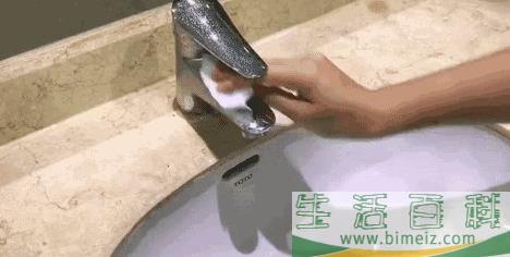 洗面奶能洗到发际线吗(洗面奶洗到发际线会脱发吗)