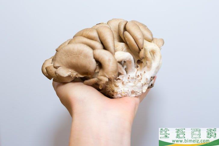 怎么烹调蘑菇