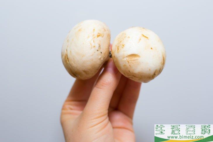 怎么烹调蘑菇