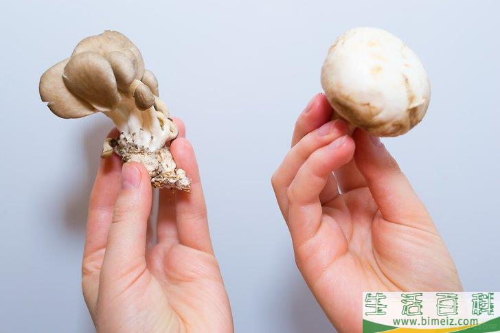 怎么烹调蘑菇