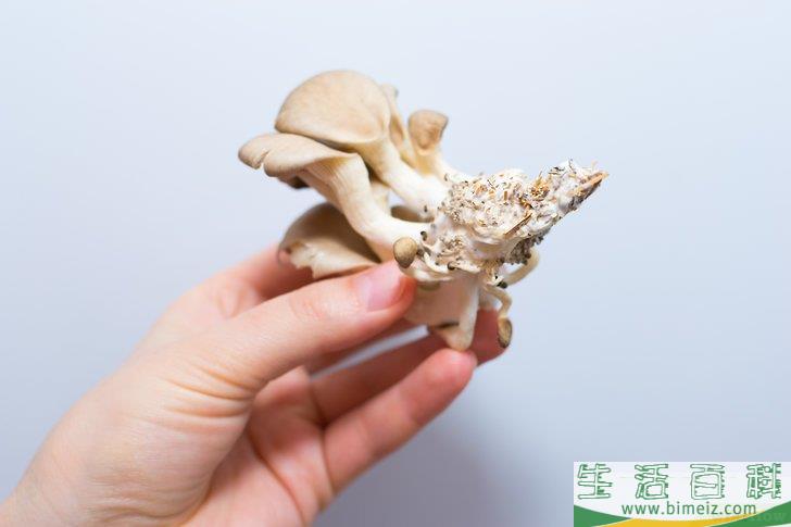 怎么烹调蘑菇
