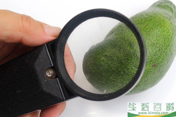 怎么挑选牛油果