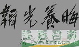 韬光养晦的意思
