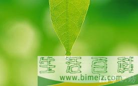 青翠欲滴的意思