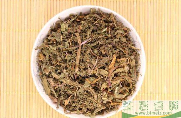 蒲公英茶可以天天喝吗(干蒲公英和蒲公英茶的区别)