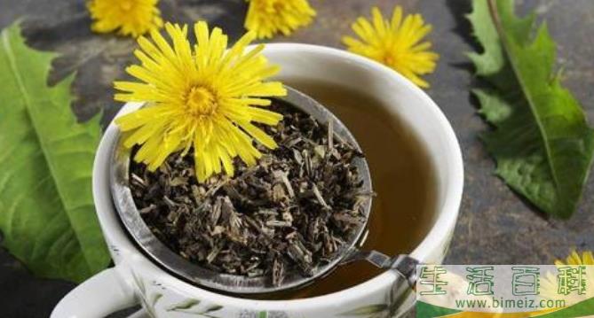 蒲公英茶可以天天喝吗(干蒲公英和蒲公英茶的区别)