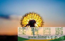 安之若素的意思