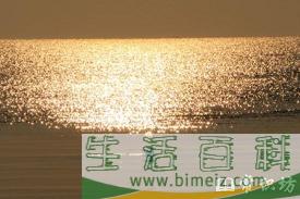 沧海一粟的意思