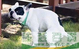 哭笑不得的意思