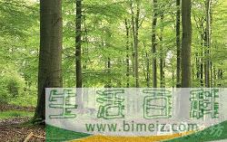 中国三大林区是什么