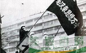 世界十大恐怖组织排行榜