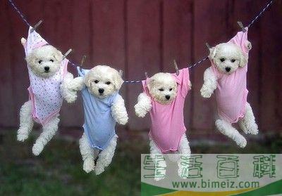 阴雨天晾衣服晾不干有霉味、臭味怎么办？