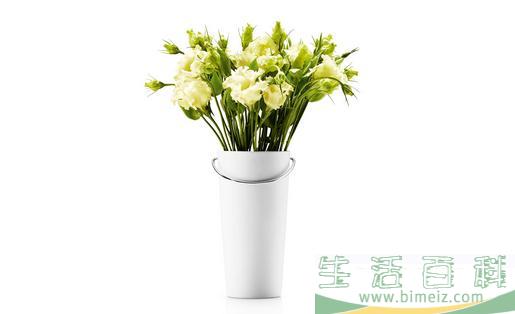 花壶瓶的保养方法和搭配技巧