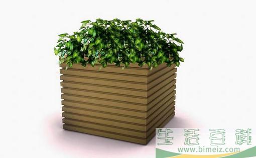 花桶的搭配知识和保养方法