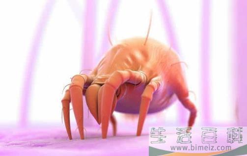 睡衣，床单，枕巾该多久清洗一次？超过这个时间，螨虫会