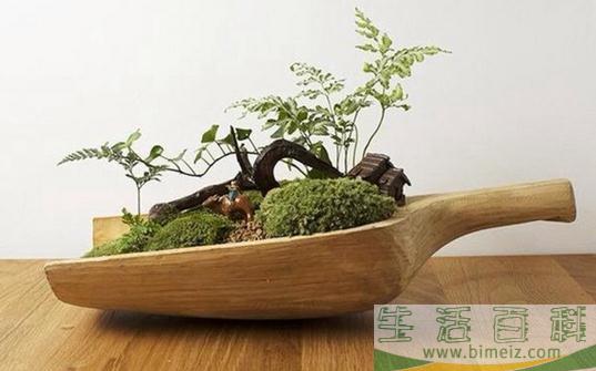 花器的搭配与清洁方法