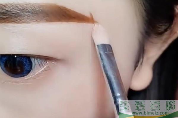 新手画眉