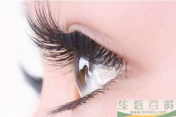 什么是睫毛移植术 睫毛移植术的适应范围