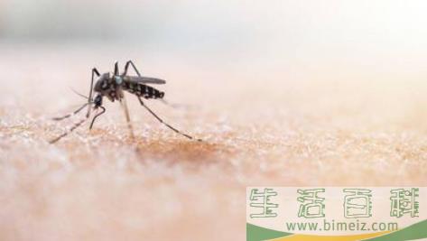 隐翅虫的生活环境一般在哪里3