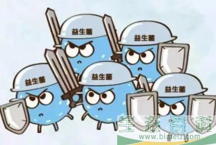 长期服用益生菌对身体有害吗1