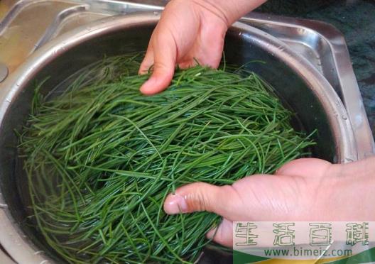 沙葱是哪里的特产3