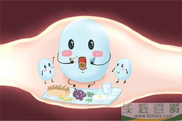 益生菌可以减肥吗 益生菌有什么作用和功效
