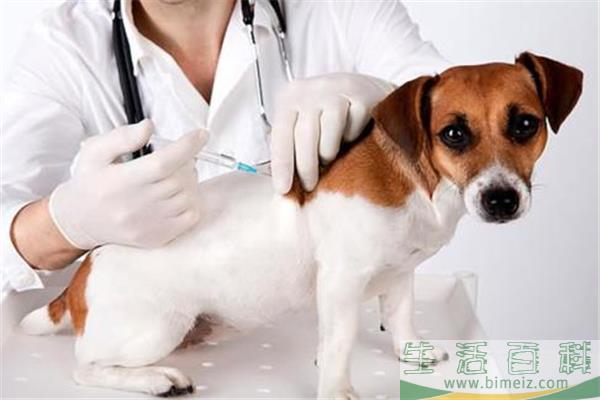 狂犬疫苗共有几针 狂犬疫苗打了三针不想打了可以吗