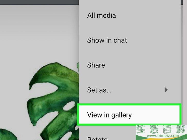 怎么将WhatsApp的照片保存到安卓相册