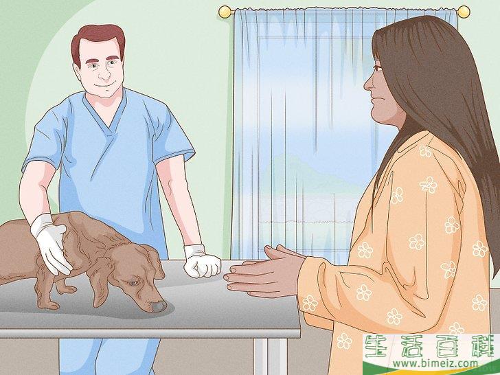 怎么增强狗狗的后腿肌肉