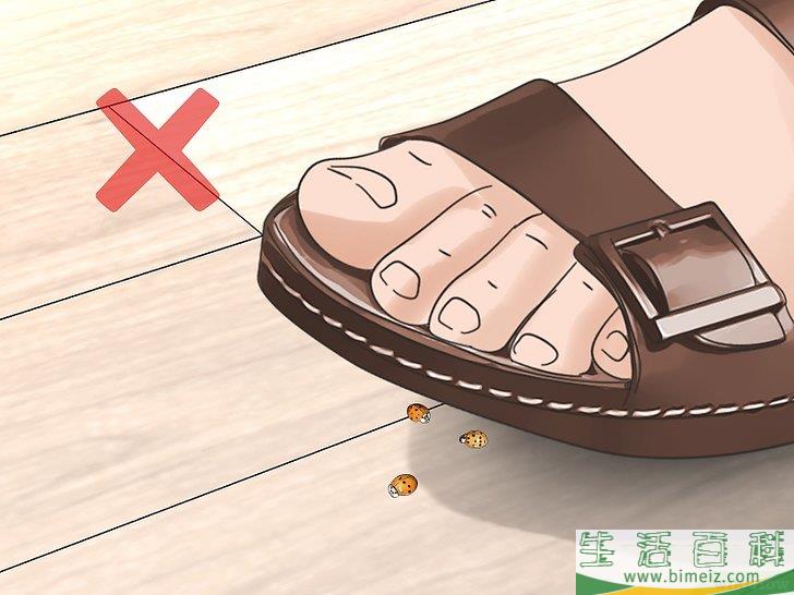 怎么消灭异色瓢虫