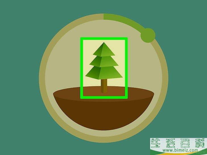怎么使用“Forest专注森林”应用程序