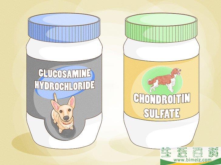 怎么增强狗狗的后腿肌肉