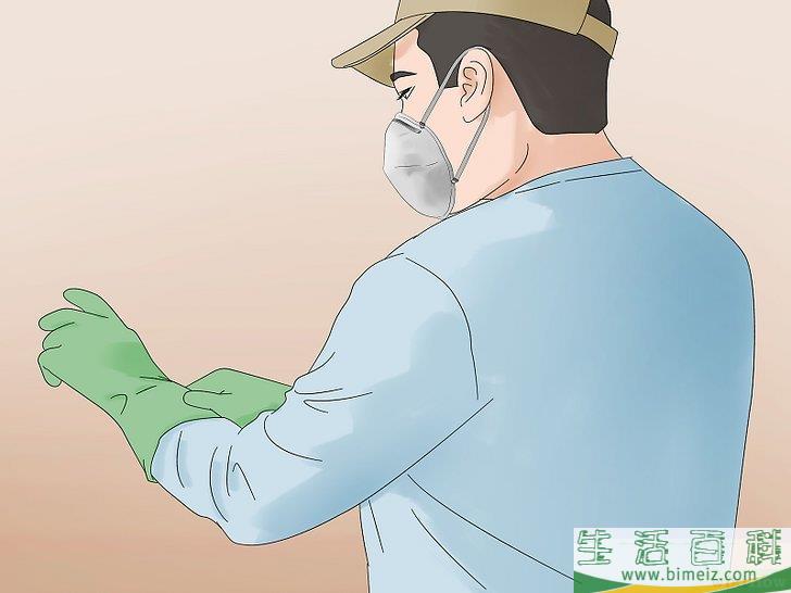 怎么消灭异色瓢虫