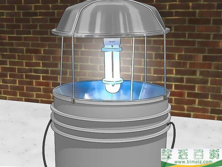 怎么消灭异色瓢虫