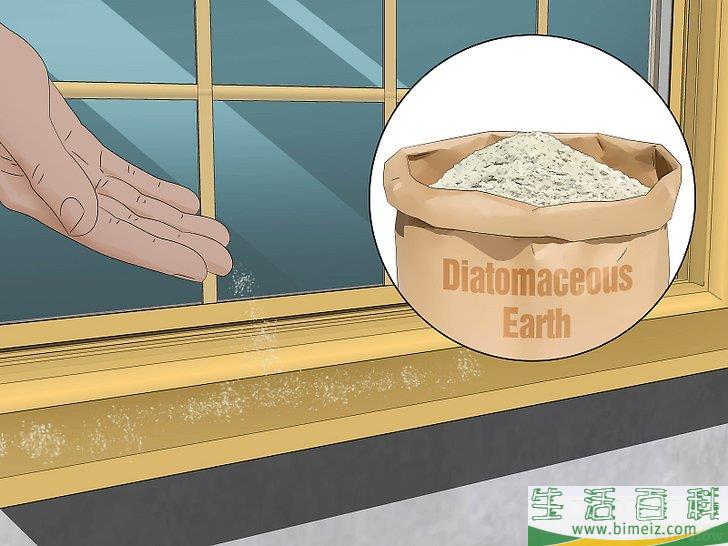 怎么消灭异色瓢虫