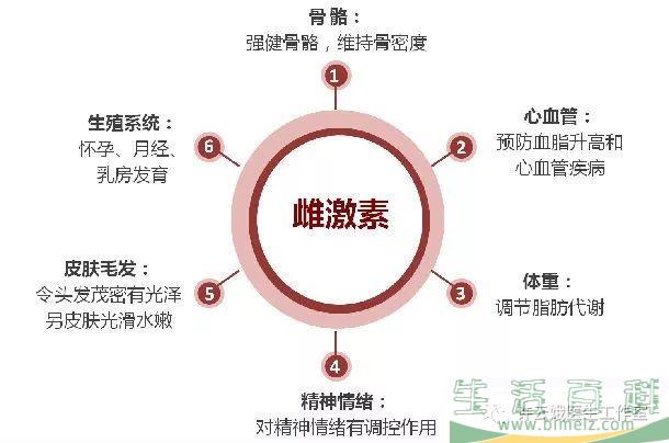 雌激素是什么 雌激素的作用有哪些