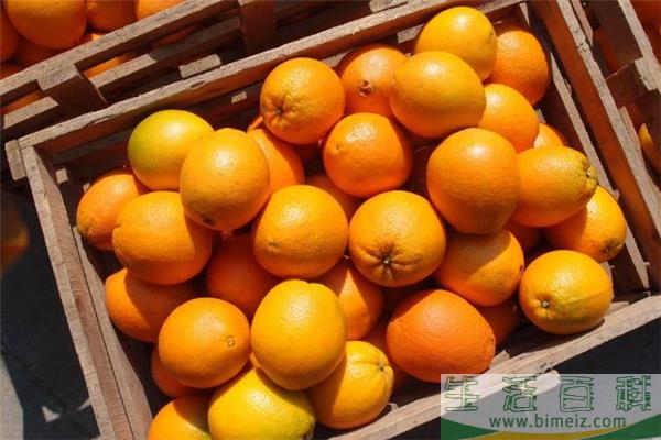 脐橙治咳嗽的做法 脐橙怎么做止咳化痰
