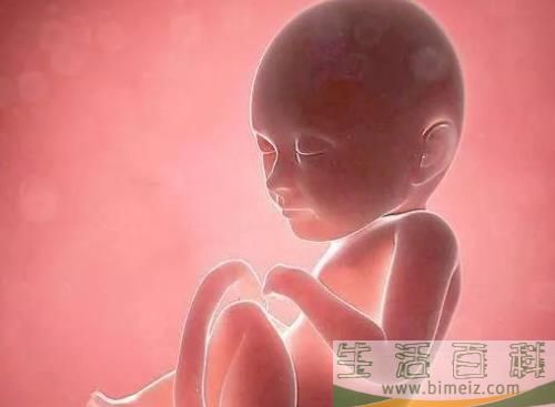 夫妻年龄会影响胎儿性别吗 备孕年龄能影响到胎儿性别吗