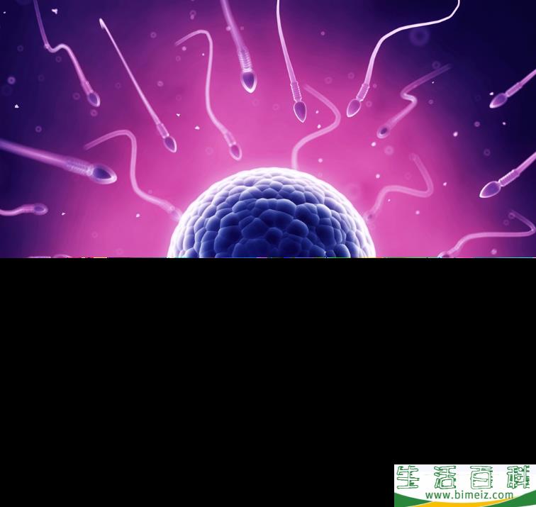 备孕卵泡长不大怎么办 备孕妈妈怎么让卵泡长得好