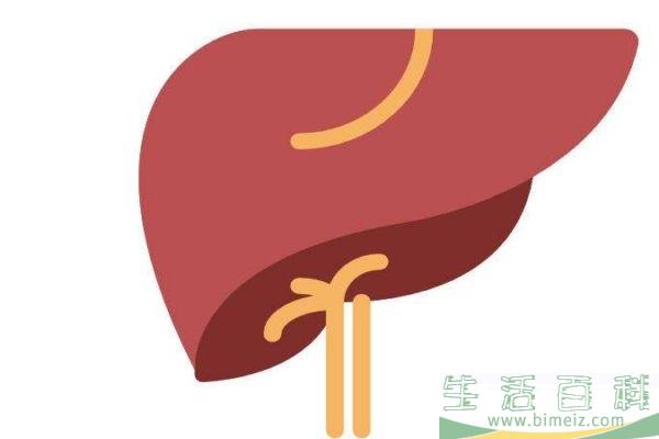 甲型肝炎应该怎么治疗呢 甲型肝炎的预防方法有什么呢