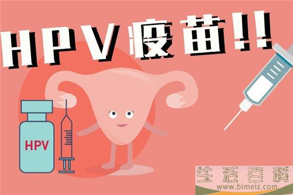 hpv疫苗是宫颈癌疫苗吗 hpv疫苗和宫颈癌疫苗有什么区别