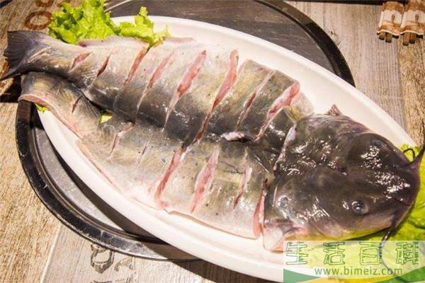 清江鱼和鲶鱼的区别 清江鱼和鲶鱼哪个好吃