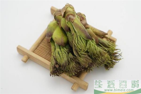 刺老芽是什么 刺老芽怎么吃