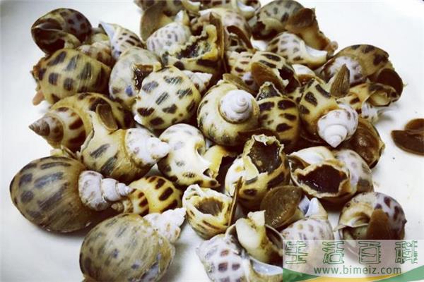花螺哪些部位不能吃 花螺放了两天还能吃吗