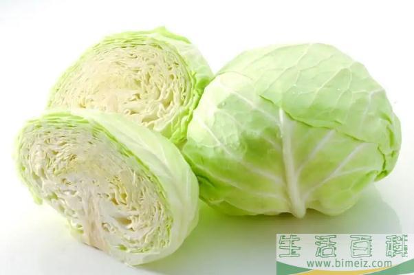 卷心菜的功效与作用 卷心菜和包菜的区别