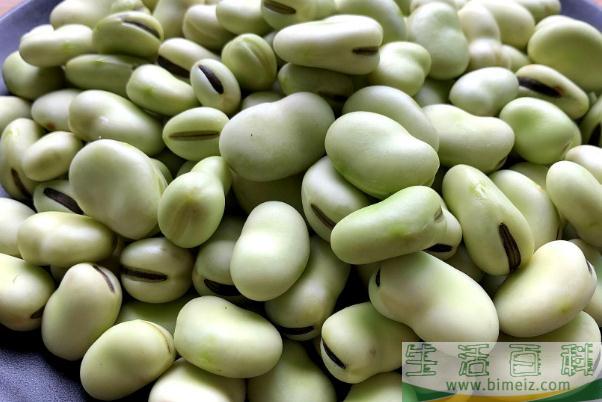 蚕豆的功效与作用禁忌 蚕豆什么季节上市