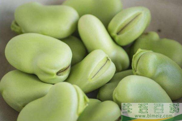 蚕豆的功效与作用禁忌 蚕豆什么季节上市