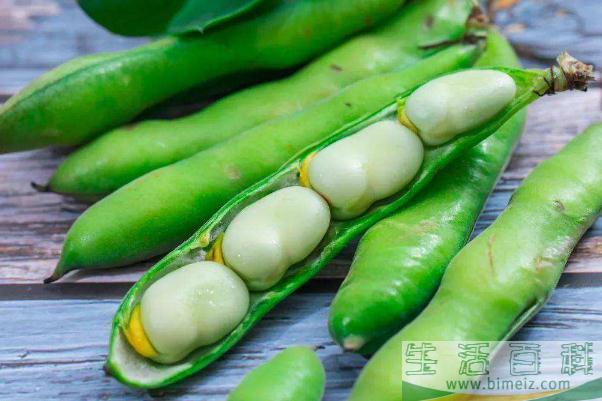 蚕豆是酸性食物还是碱性食物 蚕豆要煮多久才熟