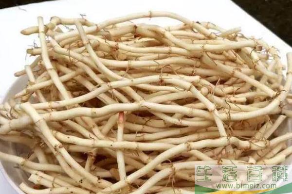 折耳根的功效与禁忌 折耳根什么味道